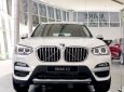 BMW X3 2019 - Bán ô tô BMW X3 sản xuất năm 2019, màu trắng, nhập khẩu