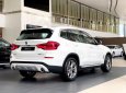 BMW X3 2019 - Bán ô tô BMW X3 sản xuất năm 2019, màu trắng, nhập khẩu