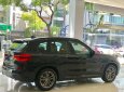 BMW X3 2019 - Bán BMW X3 đời 2019, màu đen, nhập khẩu nguyên chiếc