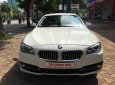 BMW 5 Series 520i 2014 - BMW 520i sản xuất 2014