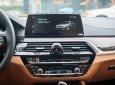 BMW 5 Series 530i  2019 - BMW 530i Luxury Line - Nhập khẩu từ Đức mới 100% - giảm 120 triệu