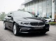 BMW 5 Series 530i  2019 - BMW 530i Luxury Line - Nhập khẩu từ Đức mới 100% - giảm 120 triệu