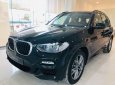 BMW X3 2019 - Bán BMW X3 đời 2019, màu đen, nhập khẩu nguyên chiếc