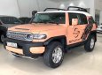 Toyota Fj cruiser 2006 - Cần bán Toyota Fj Cruiser sản xuất năm 2006, màu nâu, nhập khẩu