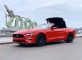 Ford Mustang   2019 - Bán Ford Mustang Convertible 2019, màu đỏ