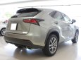 Lexus NX NX200T 2015 - Bán xe Lexus NX NX200t đời 2015, màu xám (ghi), nhập khẩu