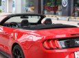 Ford Mustang Convertible 2.3 Ecoboost  2019 - Bán ô tô Ford Mustang Convertible 2.3 Ecoboost đời 2019, màu đỏ, nhập khẩu