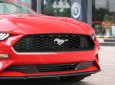 Ford Mustang Convertible 2.3 Ecoboost  2019 - Bán ô tô Ford Mustang Convertible 2.3 Ecoboost đời 2019, màu đỏ, nhập khẩu