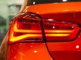 BMW 1 Series 2019 - BMW 118i Hatchback 5 cửa - giảm mạnh 200 triệu