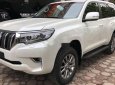 Toyota Land Cruiser   Prado  2019 - Bán Toyota Land Cruiser Prado 2019, màu trắng, xe nhập