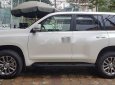 Toyota Land Cruiser   Prado  2019 - Bán Toyota Land Cruiser Prado 2019, màu trắng, xe nhập