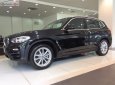 BMW X3 xDrive20i 2019 - Bán BMW X3 xDrive20i đời 2019, màu đen, nhập khẩu nguyên chiếc