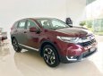 Honda CR V  1.5L 2019 - Cần bán Honda CR V đời 2019, màu đỏ, xe nhập