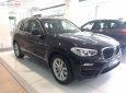 BMW X3 xDrive20i 2019 - Bán BMW X3 xDrive20i đời 2019, màu đen, nhập khẩu nguyên chiếc