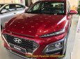 Hyundai Hyundai khác 2019 - Hyundai Kona giảm 30tr, trả trước từ 179tr, góp 10tr1