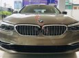 BMW 5 Series 530i 2019 - Bán BMW 5 Series 530i đời 2019, màu nâu