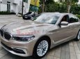 BMW 5 Series 530i 2019 - Bán BMW 5 Series 530i đời 2019, màu nâu