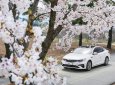 Kia Optima 2019 - Bán ô tô Kia Optima năm 2019, màu trắng, 789 triệu