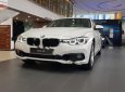 BMW 3 Series 320i 2018 - Cần bán BMW 320i 2018, màu trắng, nhập khẩu