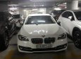 BMW 5 Series 520i 2014 - Bán xe BMW 5 Series 520i đời 2014, màu trắng, nhập khẩu