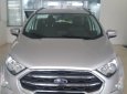 Ford EcoSport 2019 - Cần bán Ford EcoSport đời 2019, màu bạc, 545tr