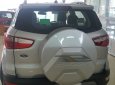 Ford EcoSport 2019 - Cần bán Ford EcoSport đời 2019, màu bạc, 545tr