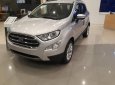 Ford EcoSport 2019 - Chưa đến 700 triệu dắt ngay Ford Ecosport cao cấp về nhà - LH: Hoàng - Ford Đà Nẵng 0935.389.404