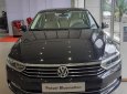 Volkswagen Passat 2018 - Passat Bluemotion sang trọng lịch lãm, nét đẹp chuẩn "Châu Âu"