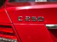 Mercedes-Benz C class C250 2013 - Cần bán xe Mercedes C250 đời 2013, màu đỏ, xe nhập