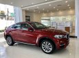 BMW X6 2019 - Bán BMW X6 35i Coupe, màu đỏ, xe nhập khẩu Đức, hầm hố, thể thao