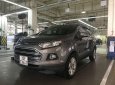 Ford EcoSport  Titanium 2016 - Bán Ford EcoSport Titanium năm 2016, màu xám giá cạnh tranh