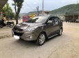 Hyundai Tucson 4WD 2011 - Bán xe Hyundai Tucson 4WD đời 2011, màu nâu, nhập khẩu nguyên chiếc, giá chỉ 500 triệu