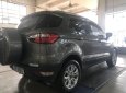 Ford EcoSport  Titanium 2016 - Bán Ford EcoSport Titanium năm 2016, màu xám giá cạnh tranh