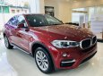 BMW X6 2019 - Bán BMW X6 35i Coupe, màu đỏ, xe nhập khẩu Đức, hầm hố, thể thao