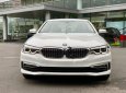 BMW 5 Series 530i Luxury Line 2019 - Bán BMW 530i Luxury Line 2019, màu trắng, nhập khẩu