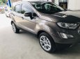 Ford EcoSport 1.5 L  AT Titanium 2019 - Bán xe Ford EcoSport 1.5 L AT Titanium năm sản xuất 2019, màu nâu, giá 610tr