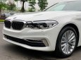 BMW 5 Series 530i Luxury Line 2019 - Bán BMW 530i Luxury Line 2019, màu trắng, nhập khẩu