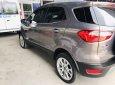 Ford EcoSport 1.5 L  AT Titanium 2019 - Bán xe Ford EcoSport 1.5 L AT Titanium năm sản xuất 2019, màu nâu, giá 610tr