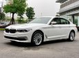 BMW 5 Series 530i Luxury Line 2019 - Bán BMW 530i Luxury Line 2019, màu trắng, nhập khẩu