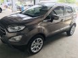 Ford EcoSport 1.5 L  AT Titanium 2019 - Bán xe Ford EcoSport 1.5 L AT Titanium năm sản xuất 2019, màu nâu, giá 610tr