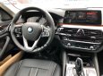 BMW 5 Series 530i Luxury Line 2019 - Bán BMW 530i Luxury Line 2019, màu trắng, nhập khẩu