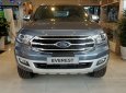 Ford Everest 2.0MT 4X2 Ambient 2019 - Everest khuyến mãi sâu, quà siêu khủng, đầy đủ phụ kiện, tặng BHVC, đủ màu, trả góp nhanh chóng, dễ dàng