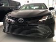 Toyota Camry 2019 - Bán Toyota Camry đời 2019, màu đen, xe nhập