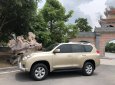 Toyota Prado TXL 2010 - Cần bán Toyota Prado TXL đời 2011, màu vàng, xe nhập