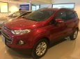 Ford EcoSport 1.5L Titanium 2016 - Bán Ford Ecosport 1.5l Titanium 2016, xe đi lướt 1 vạn 8, xe bán và bảo hành tại Ford