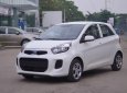 Kia Morning   2019 - Cần bán Kia Morning đời 2019, màu trắng, 299tr