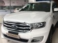 Ford Everest  titanium  2019 - Bán xe Ford Everest 2019, màu trắng, nhập khẩu