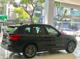 BMW X3 xDrive30i M Sport 2019 - Bán xe BMW X3 xDrive30i M Sport đời 2019, màu đen, nhập khẩu