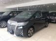 Toyota Alphard Excutive Lounge 3.5 2019 - Bán Toyota Alphard Executive Lounge sản xuất 2019, nhập khẩu châu Âu. Xe giao ngay