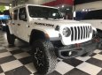 Jeep JBC Gladiator 2019 - Bán xe Jeep JBC Gladiator 2020, màu trắng, nhập khẩu nguyên chiếc